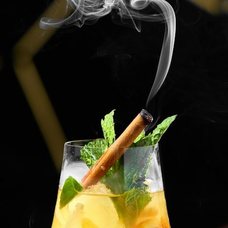A handcrafted smoked cocktail garnished with mint and cinnamon